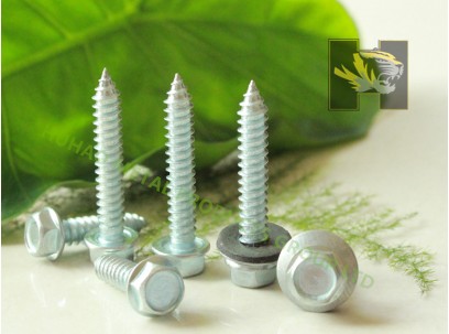 Tapping Screw,Self Tapping Screw,Hex Head Self Tapping Screw,Fasteners Screw,Galvanized Self Tapping Screw