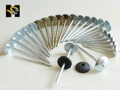Roofing nail,thread screw shank roofing nail,screw shank roofing nail,steel roofing nail,thread roofing nail