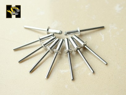 Blind rivet,Garland blind rivet,Aluminum blind rivet,Clinch bolt,Stainless steel rivet
