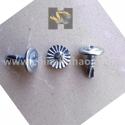 Truss Head Self Drilling Screw,Fastener Screw,Iron Plate Washer Head Self Drilling Screw,Modified Truss Head Self Drilling Screw,Sealing washer Self Drilling Screw 