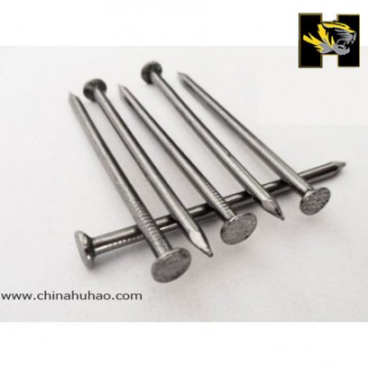 Common nail,common iron nail,iron wire nail,roofing nail,common wire nail