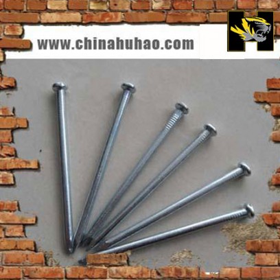 Common nail,common iron nail,iron wire nail,roofing nail,common wire nail
