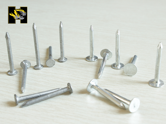 Cap nail ,clout copper nail ,flat head clout nail ,galvanized clout nail 