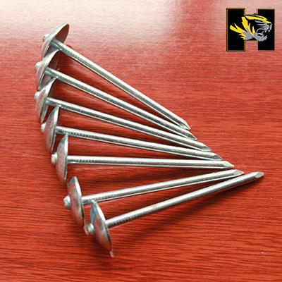 screw shank roofing nail,steel roofing nail,thread roofing nail,spiral shank roofing nail,smooth shank roofing nail