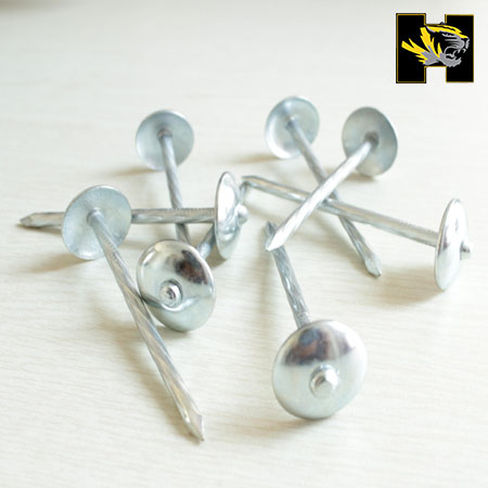 screw shank roofing nail,steel roofing nail,thread roofing nail,spiral shank roofing nail,smooth shank roofing nail 
