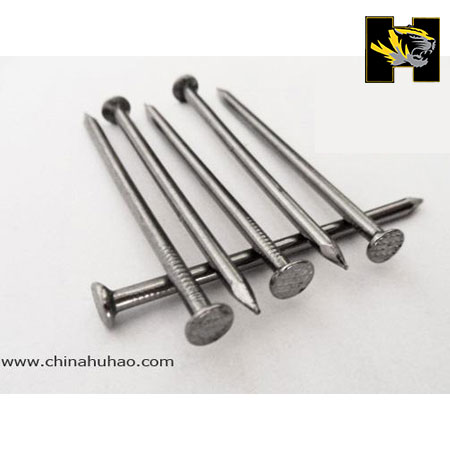 Common nail,common iron nail,iron wire nail,roofing nail,common wire nail