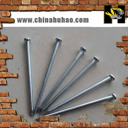 Common nail,common iron nail,iron wire nail,roofing nail,common wire nail